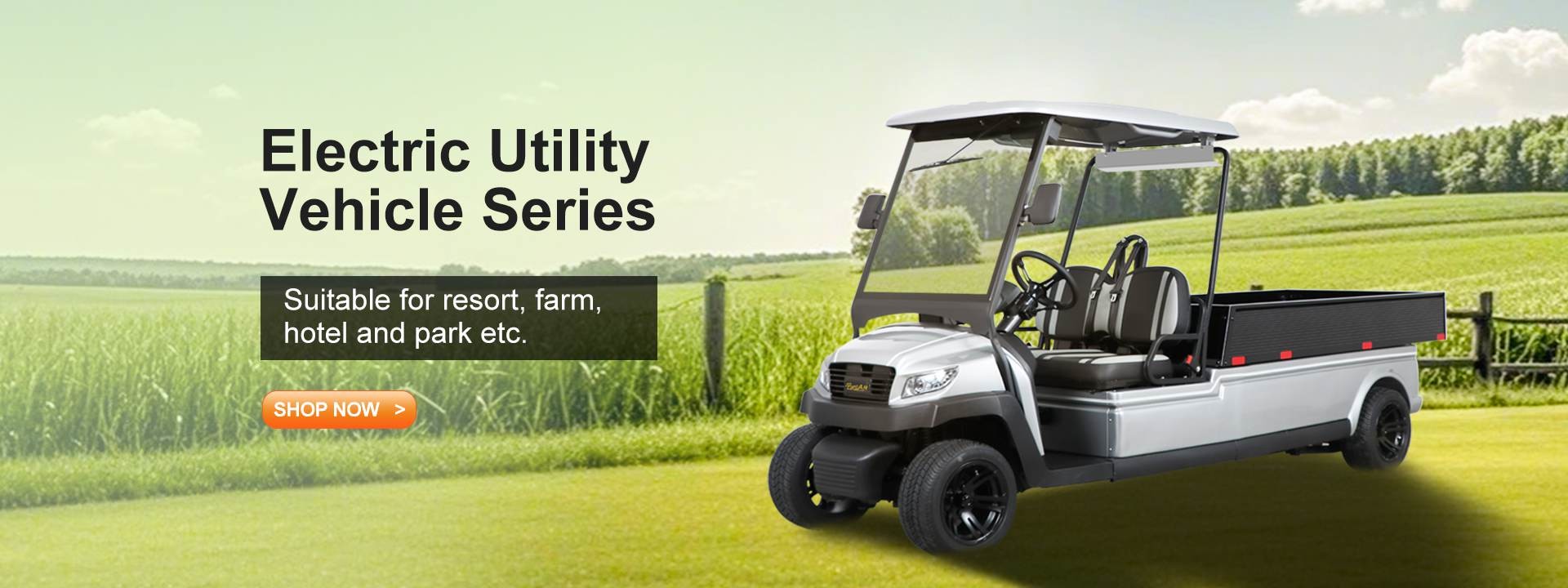Chất lượng Xe Golf Điện nhà máy