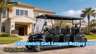 Xe Golf Điện Màu Đen CK6