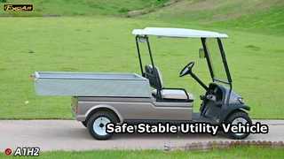 A1H2 Vàng sâm panh Chiếc xe đa dụng chạy điện này mang đến sự an toàn và ổn định, bền bỉ